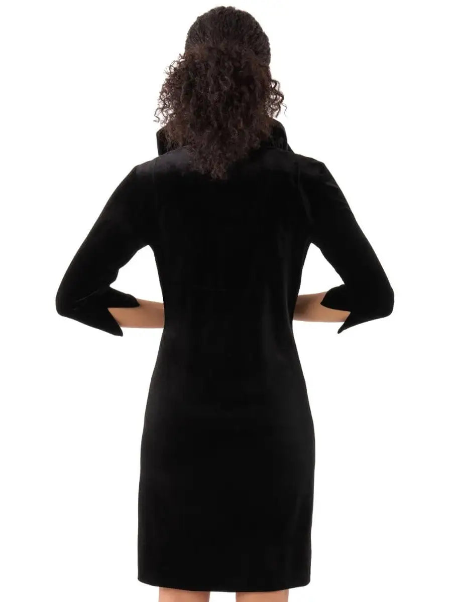 Ruffle Neck Silky Velvet Dress